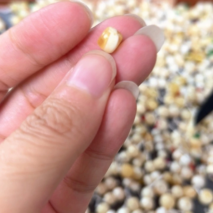 裸石蜜蜡未镶嵌7mm一个