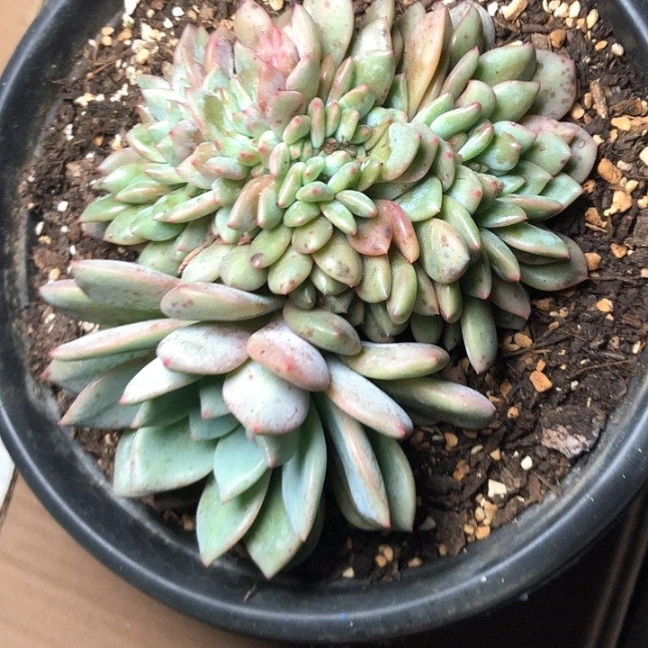 美**美64//////////////////