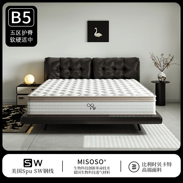 OQFW B5软硬适中 五分区独立袋装 进口自适应弹簧支撑系统 抗干扰