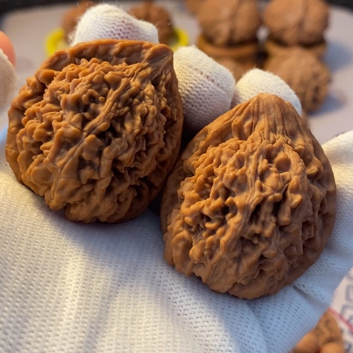 吊坠文玩核桃40蚂蚁王鹰嘴