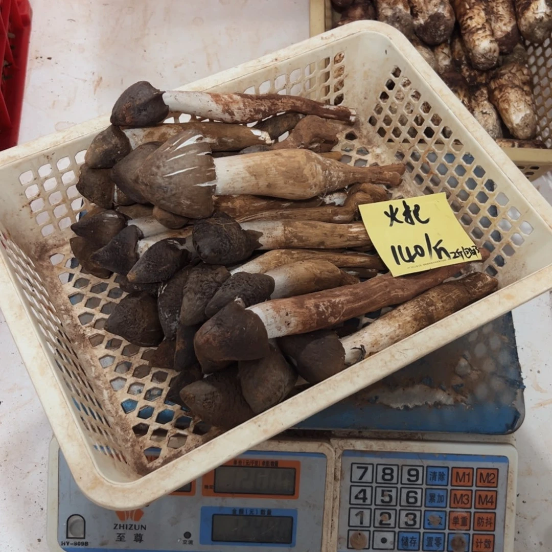 鸡纵鸡纵鸡纵鸡纵中国大陆