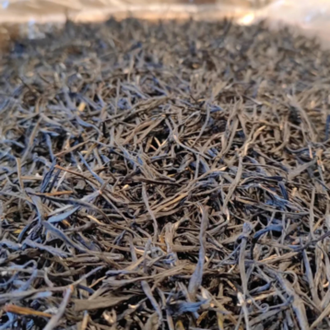 云南茶科所2023年紫娟生茶普洱茶100克