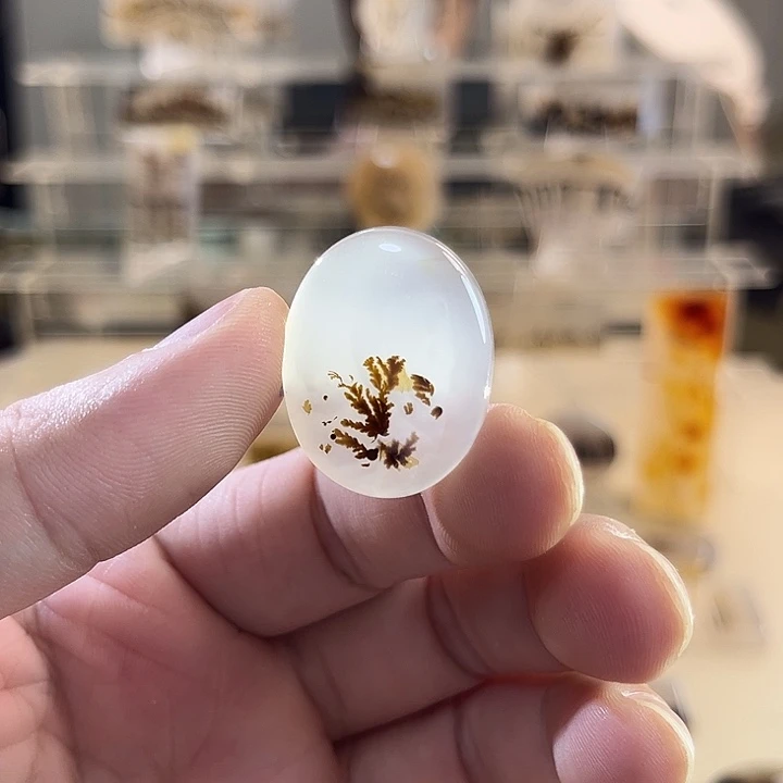 未镶嵌吊坠(不含链)玛瑙/玉髓