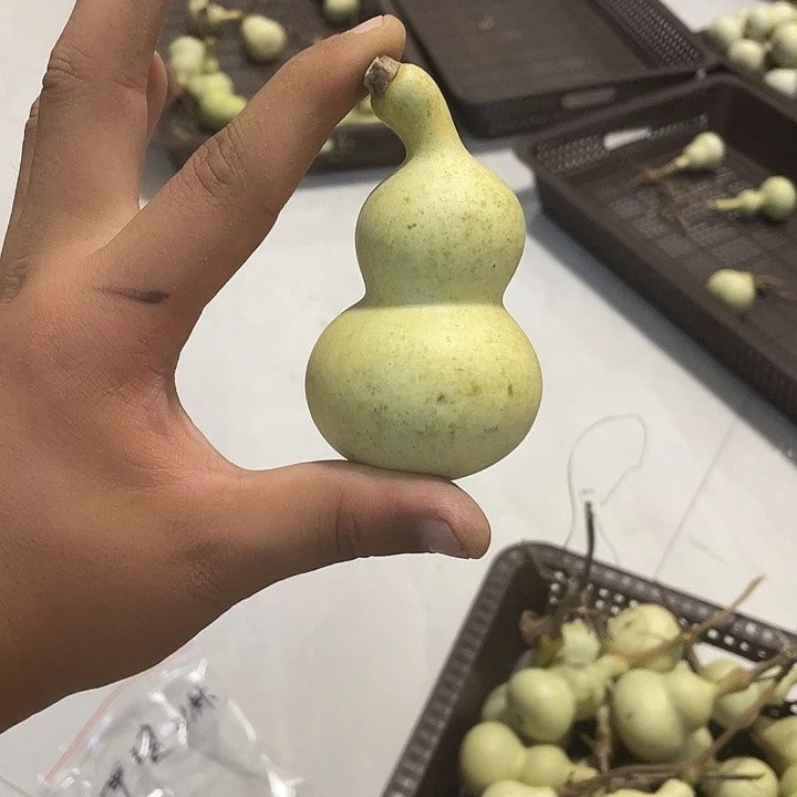 刘***女感谢大哥支持兄弟不保