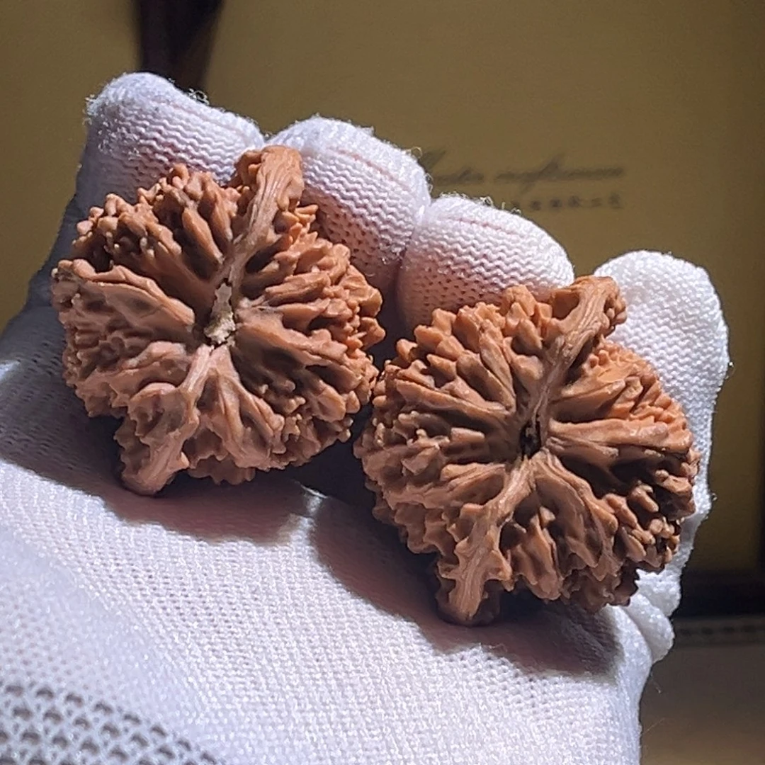 青***狂全品41精对星星。全