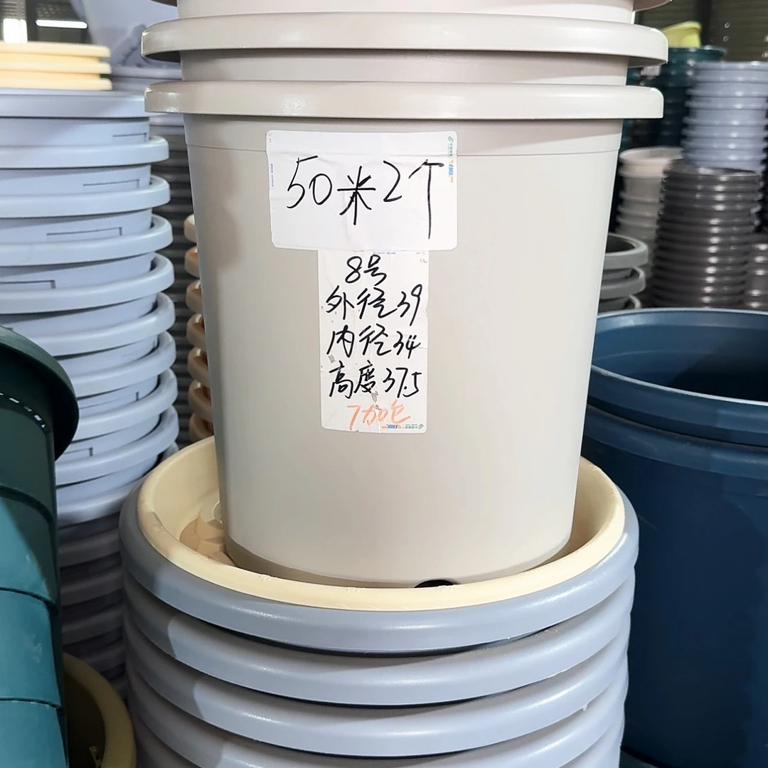 晨**露灰白色带拖4号3个5号3个
