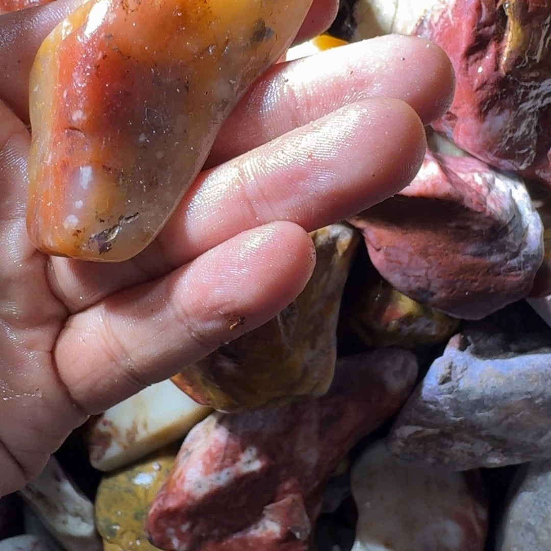 云***哥寿山石8998889998999998