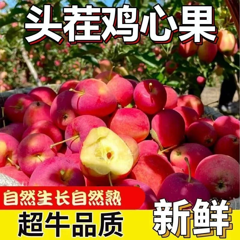 【好吃】东北特产鸡心果锦绣海棠脆甜多汁应季新鲜水果整箱包邮