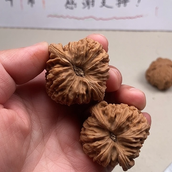 平***凡木质类147.147.147