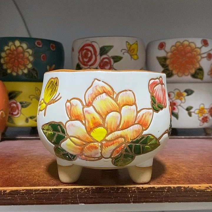 韩式多肉植物花盆