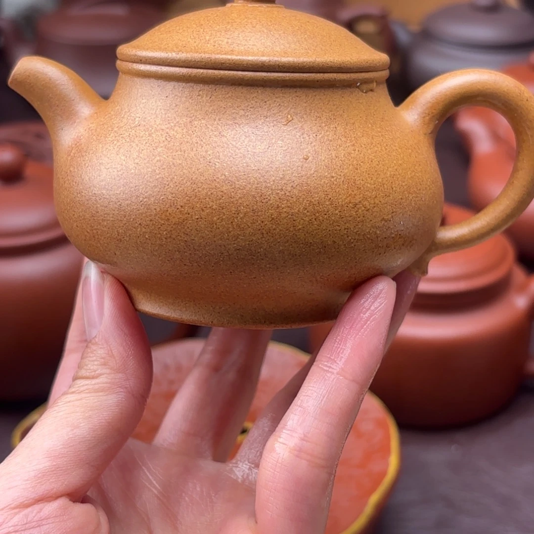 金***爷茶壶紫砂冷金黄  矮潘180