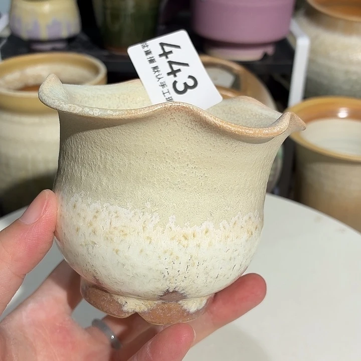 花盆花盆花盆花盆