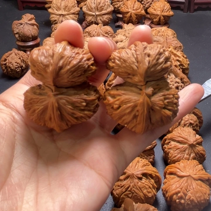 白狮子小连体42尺寸核桃哈哈哈哈哈哈