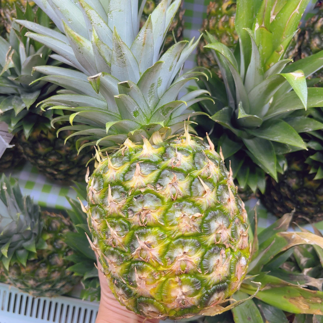 【整颗发货】金钻凤梨1颗（约2～3斤左右）削皮需备注，只切大块哦