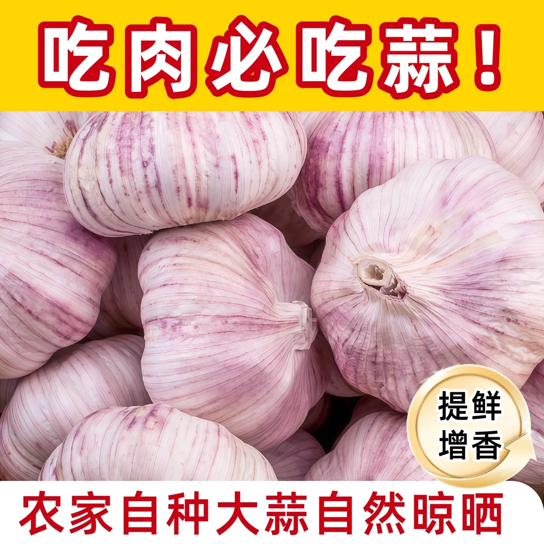 正宗紫白皮大蒜新鲜干蒜农产品生鲜特产C1（悦己）