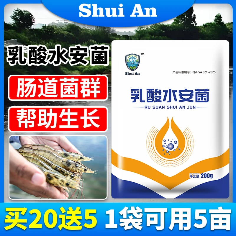 乳酸菌水产养殖专用菌种鱼虾蟹调节肠道调水净水促吃食促长降pH值