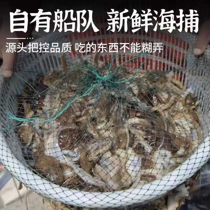 【保鲜不保活】短腿八爪鱼3斤顺丰包邮 大小混装 介意5%吐水率勿拍