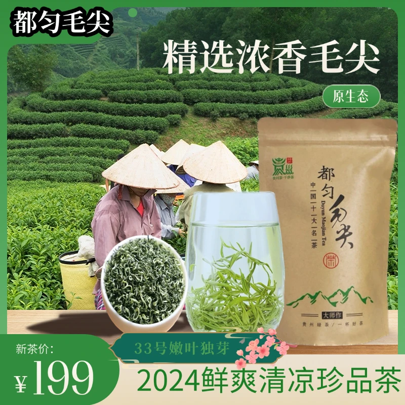 【33号】新茶独芽  瓜米芽 贵州都匀毛尖高山云雾绿茶原生态毛尖茶