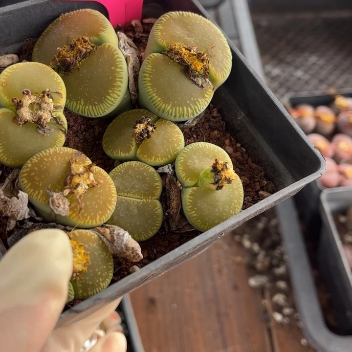 雨***點728号888888888888