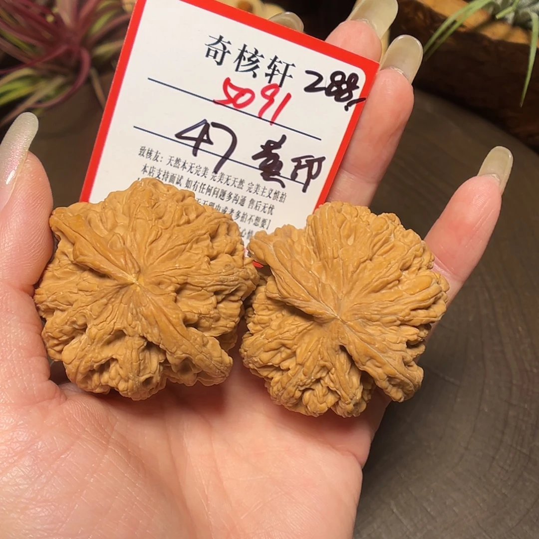 吊坠文玩核桃粗筋福利5091