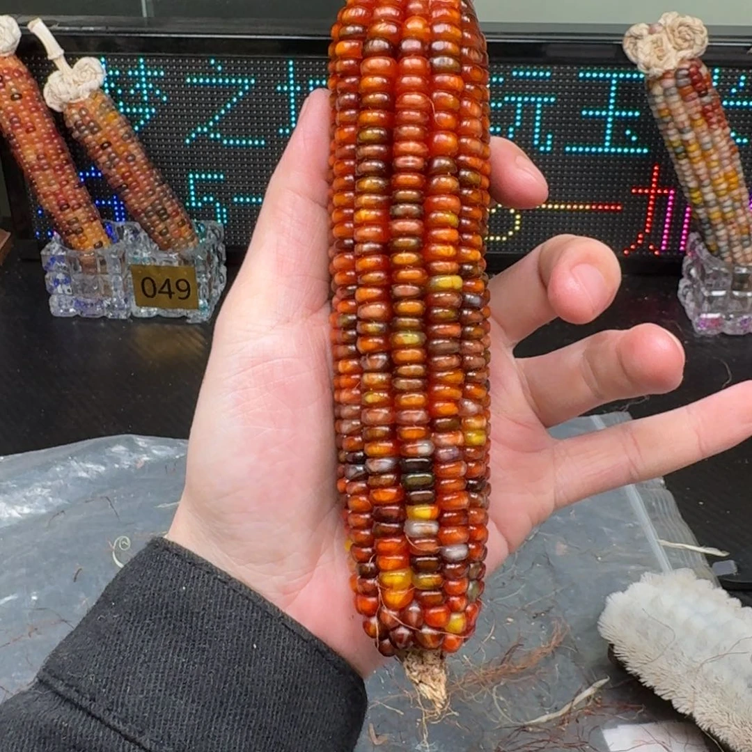 柏香籽/百香籽吊坠念*