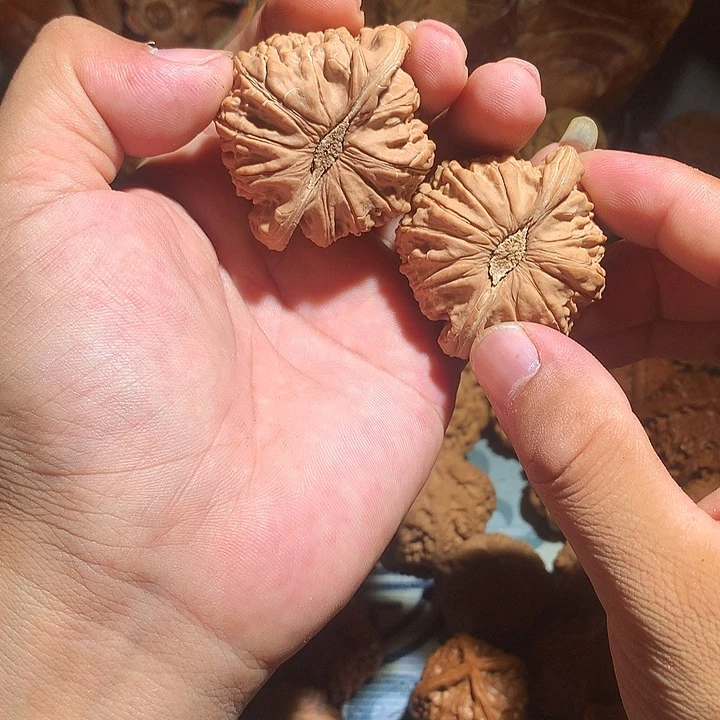 ****赴把件文玩核桃白狮子
