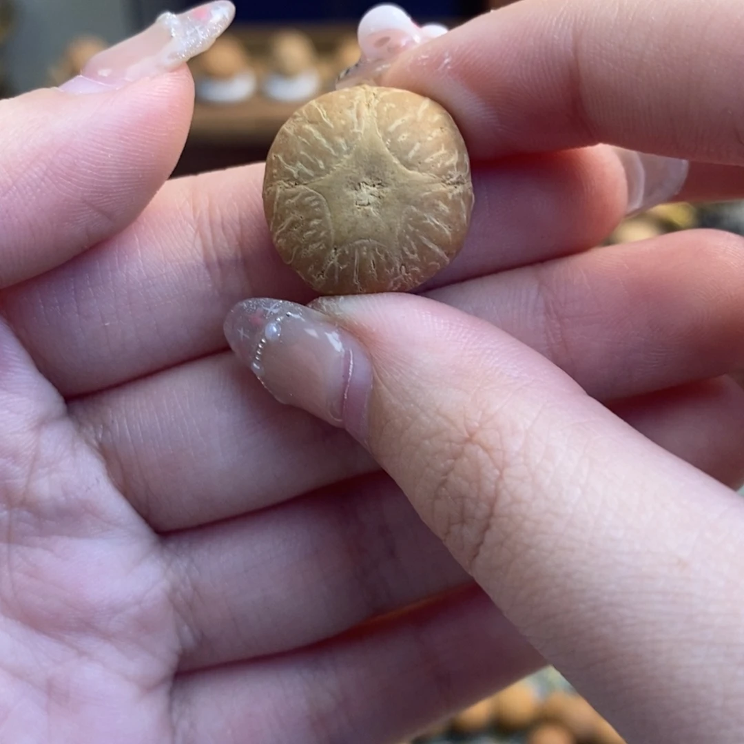 吊坠凤眼菩提五星