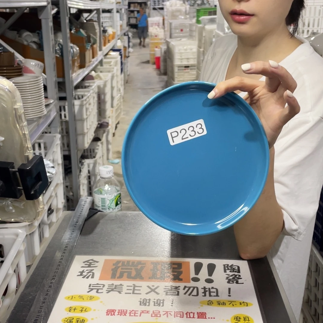 瓷片233            4个