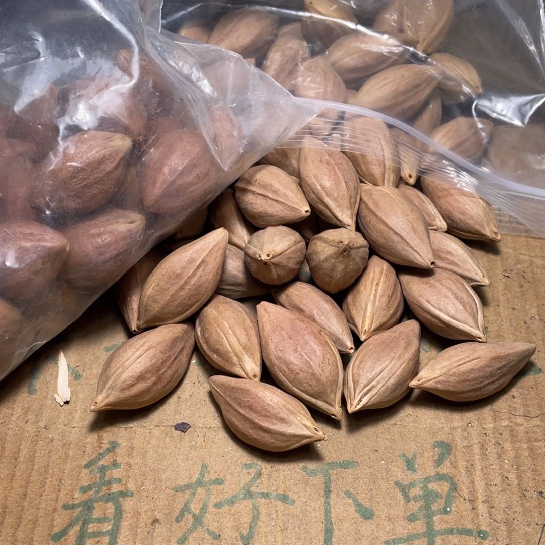 相***播橄榄核吊坠不退不换