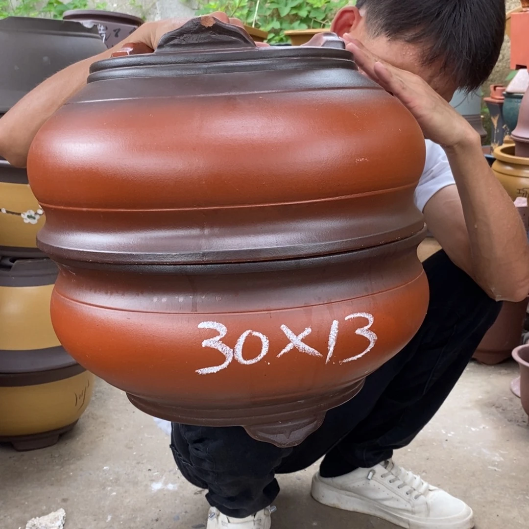 紫砂紫砂紫砂紫砂