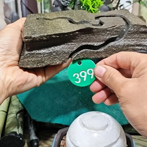 开槽附石一个399号