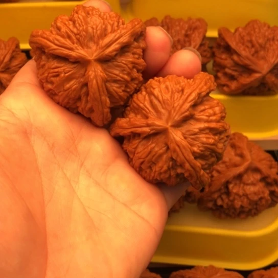 我***得核桃核桃核桃厚薄核桃厚薄