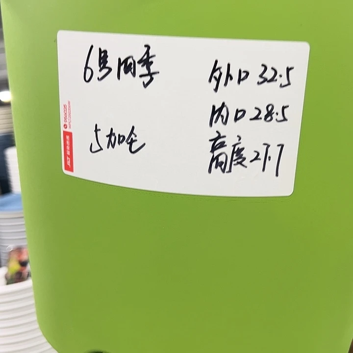特价6号四季口32高28果绿色7个无托