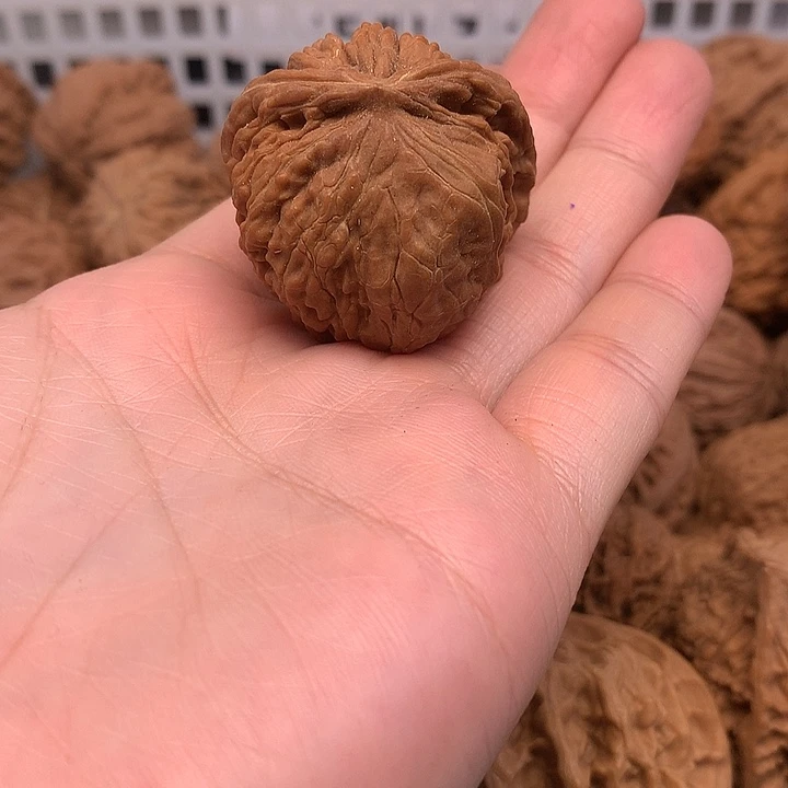 蚂***蚁文玩核桃吊坠文玩核桃