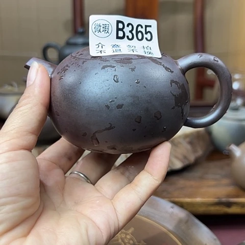 戬谷龙窑柴烧茶壶365