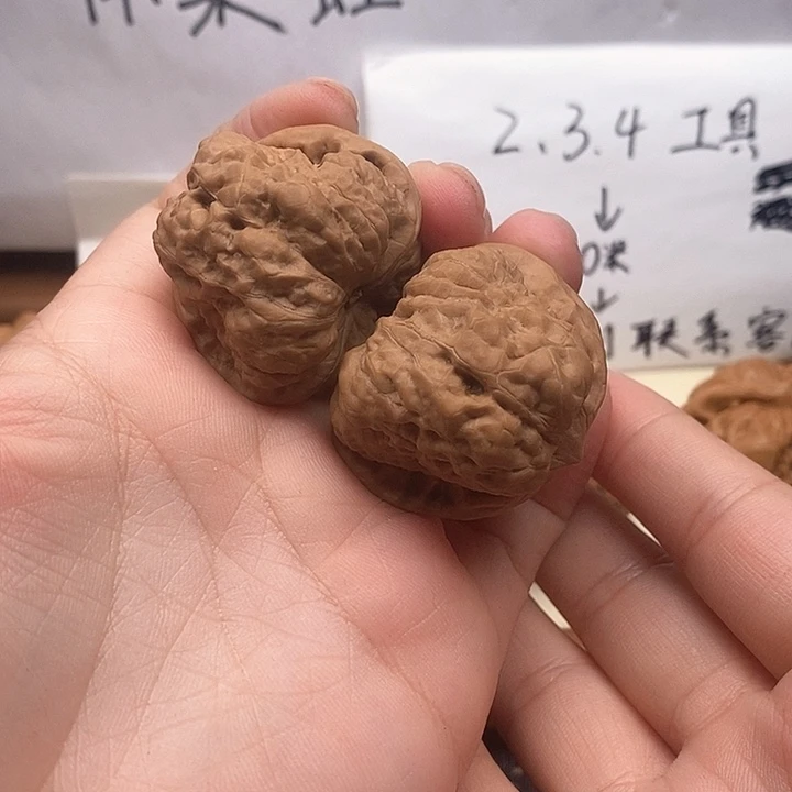 文玩核桃手串金*豹37全品