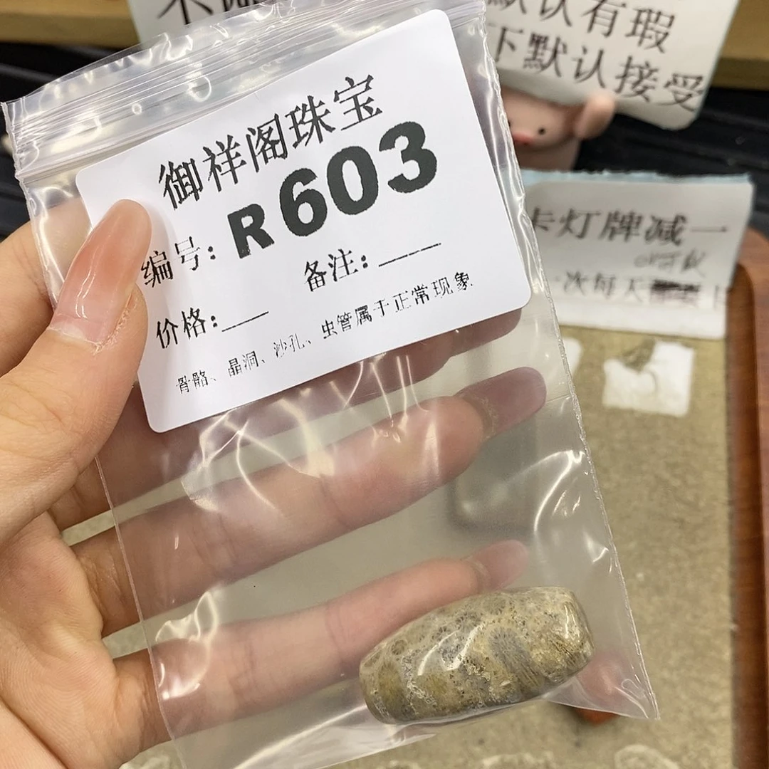 硅化珊瑚（珊瑚玉）未镶嵌颈饰雨**了