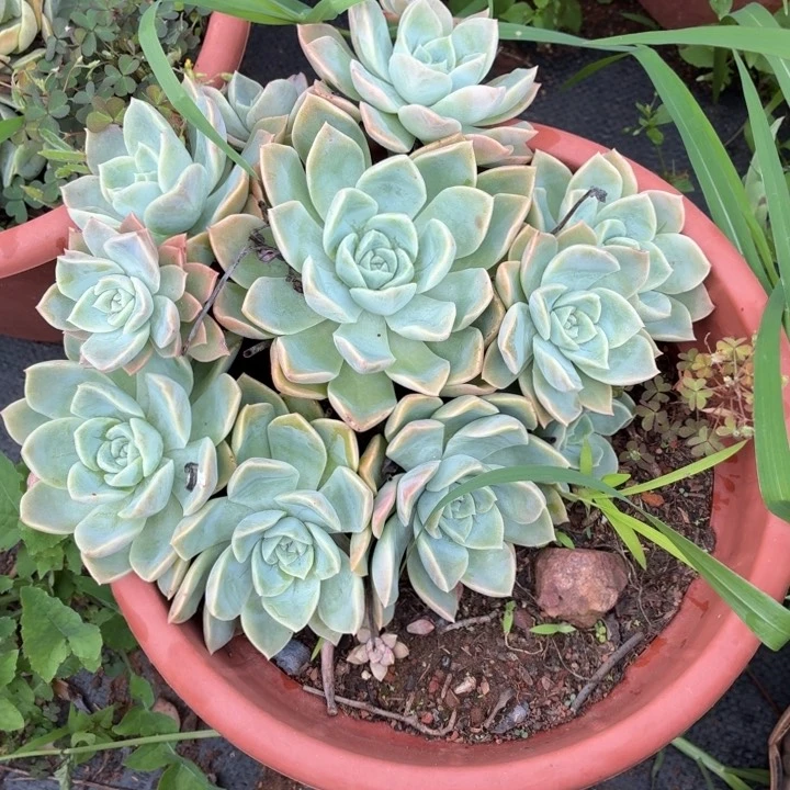 哈利噢森，。，，，，，，，，，，，，，