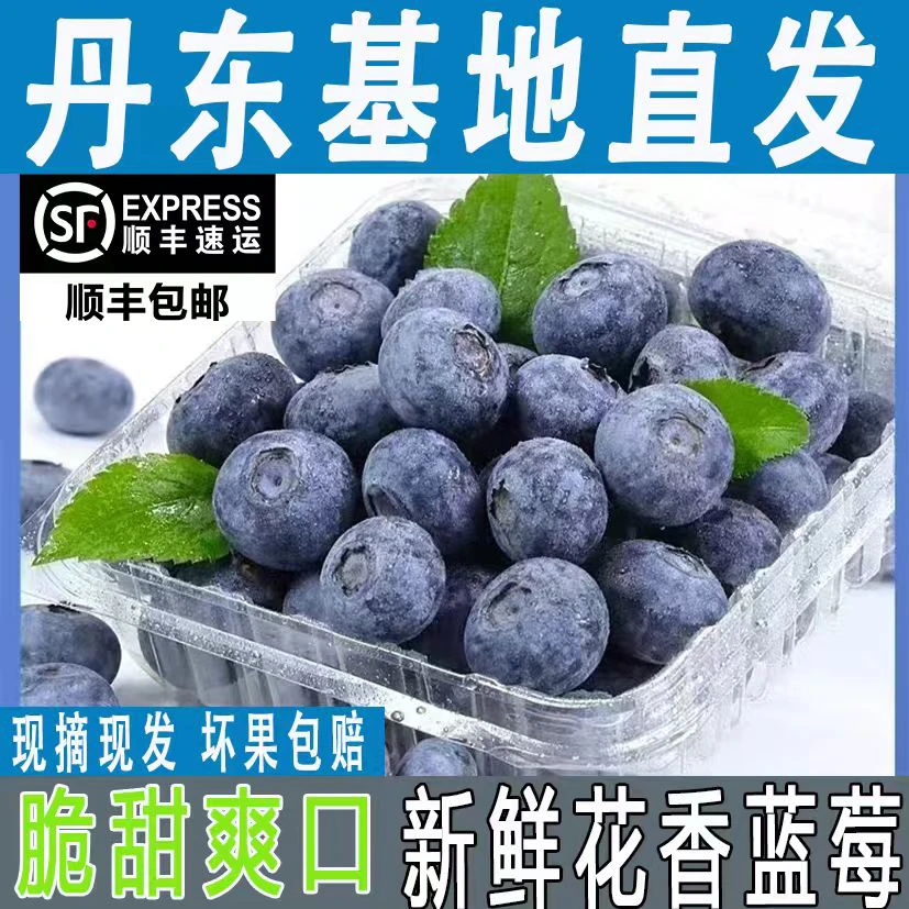 【拍4盒送2盒】丹东基地直发花香蓝莓鲜果顺丰京东包邮净100g/盒