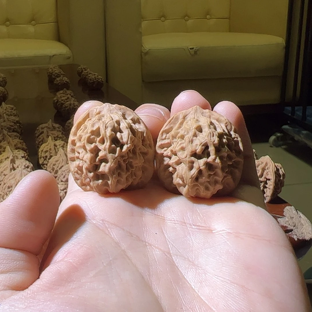 t***r31一点点小黄尖秦闷链接