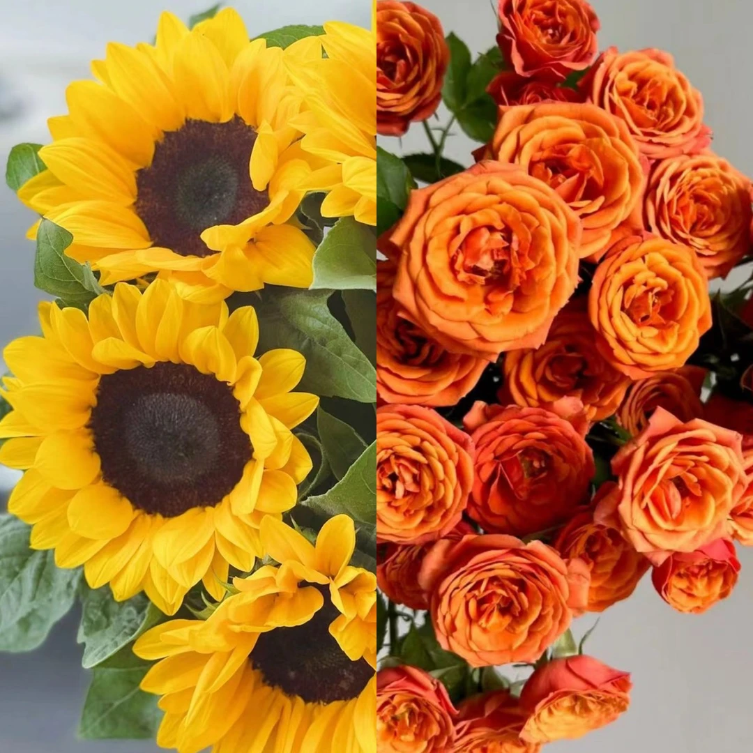【组合】 橙芭比+向日葵  店铺现货包邮  鲜花鲜切花