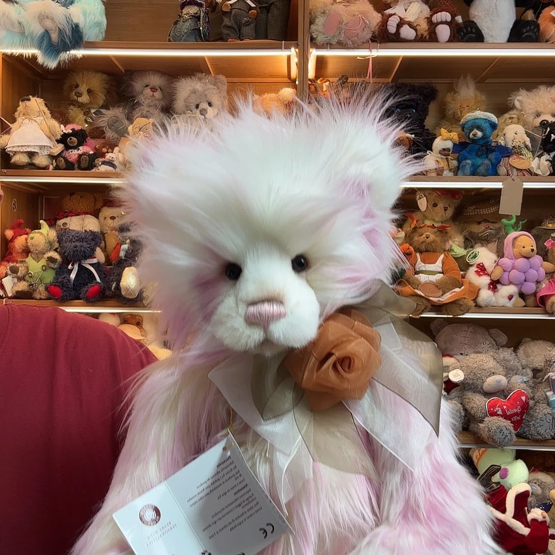 毛绒查理桑德拉泰迪熊