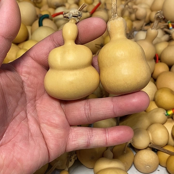 Z***?精品葫芦手把葫芦75