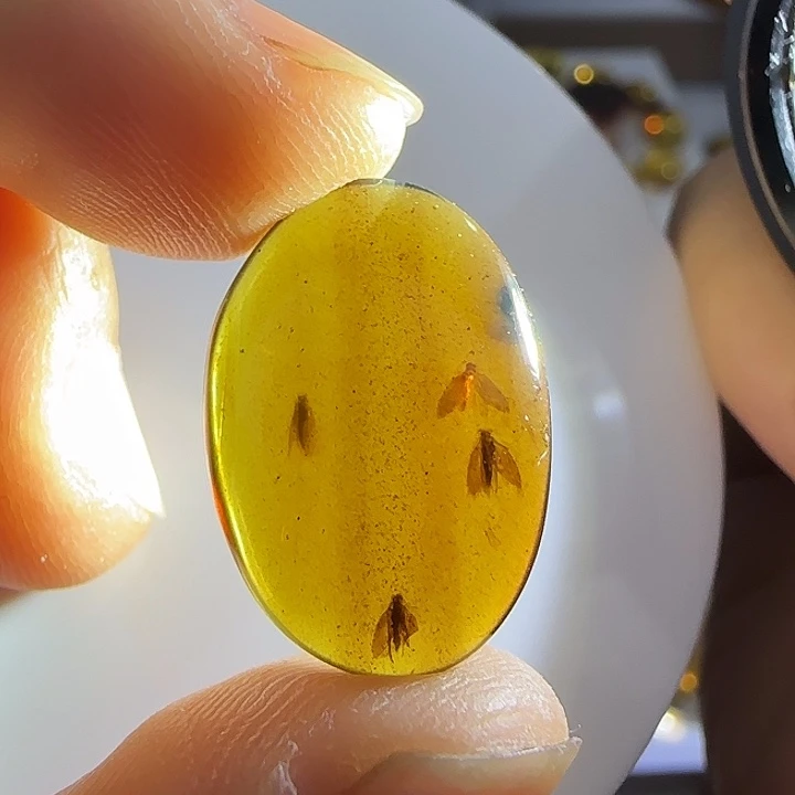 未镶嵌琥珀裸石虫珀标本