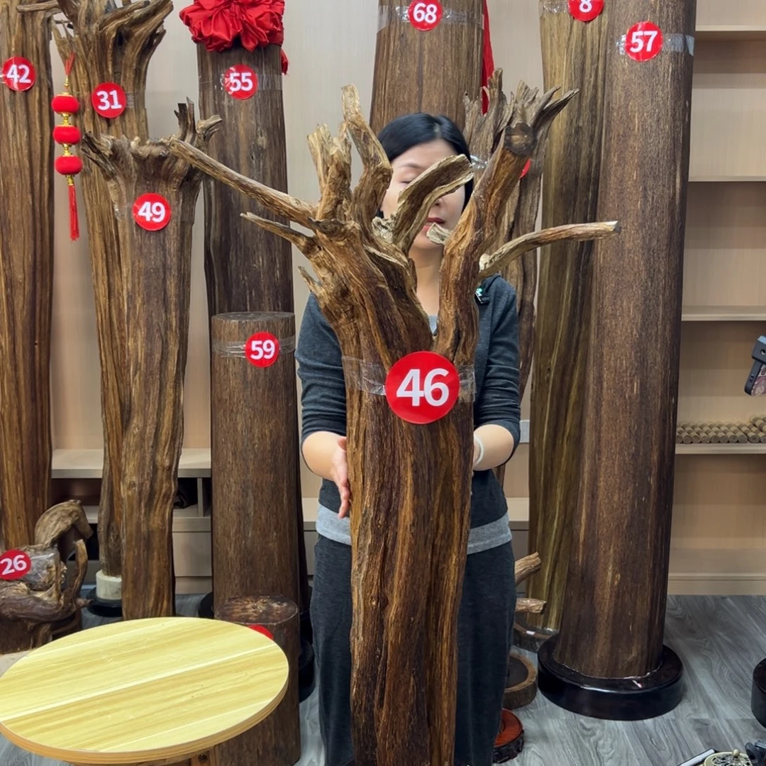 仗***涯沉香碎屑沉香沉香