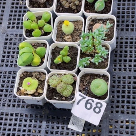 嘉***。768破烂一堆一物一图如图