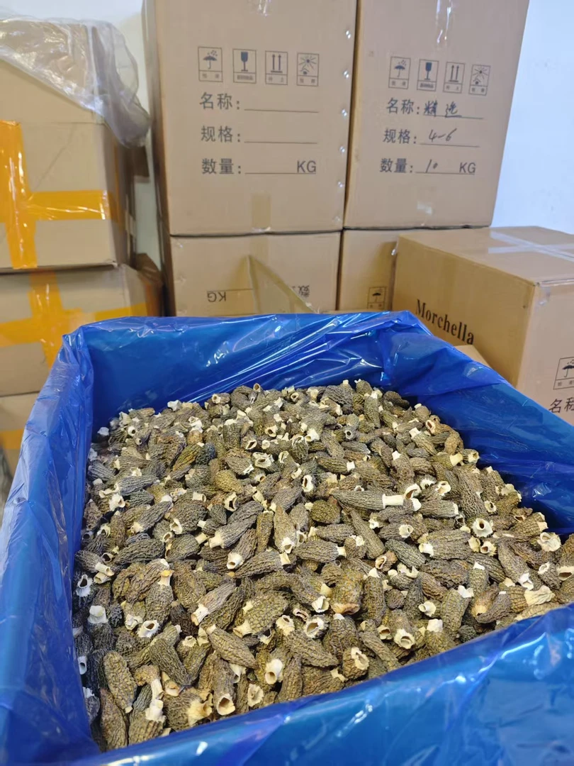 足干小羊肚菌干货菌菇类肉厚饱满煲汤蒸蛋凉拌营养丰富