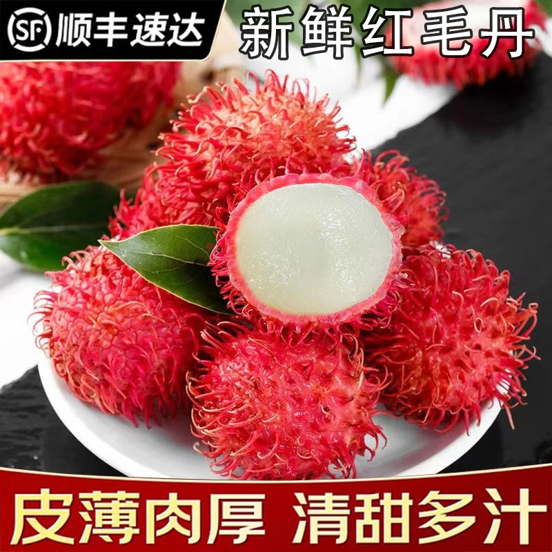现货海南红毛丹现摘现发新鲜水果毛荔枝当季水果海南红毛丹鲜果