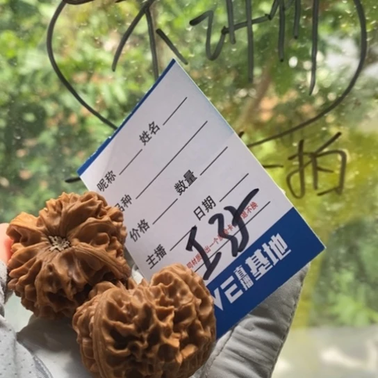 文玩核桃吊坠乔****店40龙门