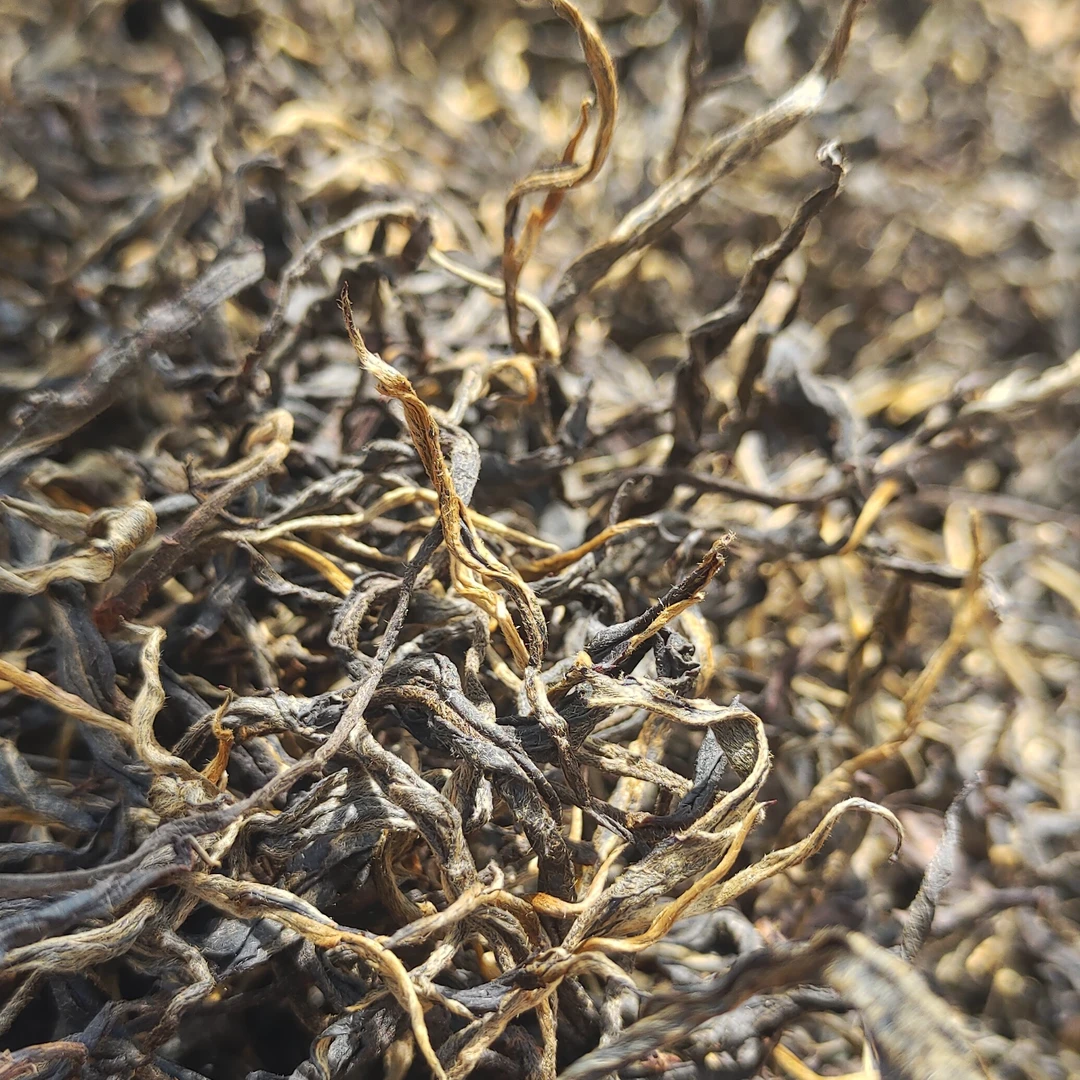 2025年永德棠梨山晒红茶